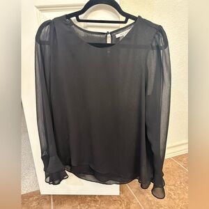 Naked Zebra Black Sheer Blouse